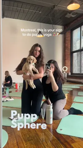 @Puppy Sphere 🤍 #puppyyoga #yoga #puppies #therapy #healing #puppylove #puppyyogamontreal #foryou #mtl #montreal #mtlcity #montrealcity #mtltiktok #montrealtiktok #montreallife #mtllife 