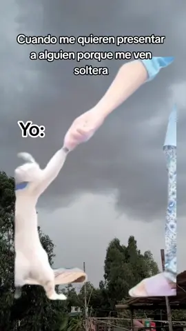 😅🤣 #Meme #MemeCut #CapCut #sueltameydejamevivir #solteria #contenidoyhumor  #fypシ゚ 
