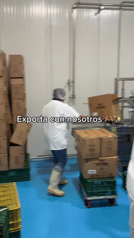 Si quieren exportar, les tenemos una oportunidad única para ustedes ✨🫶🏽 Nuestro cliente más grande, fruit traders! Vio su interés por exportar y les va abrir sus puertas para que empiecen el proceso de exportación a Estados Unidos  Si están interesados envíen un correo a: fruittradersllc@gmail.com Y manden su propuesta y sus productos  Nos vemos en USA 🫶🏽🤟🏻 #exportacion #limon #zumo #naranja #agrocitricos #fruta #exportaciones #ayuda #negocio #agro #agricultura #agropecuario #agroboy #zumos 