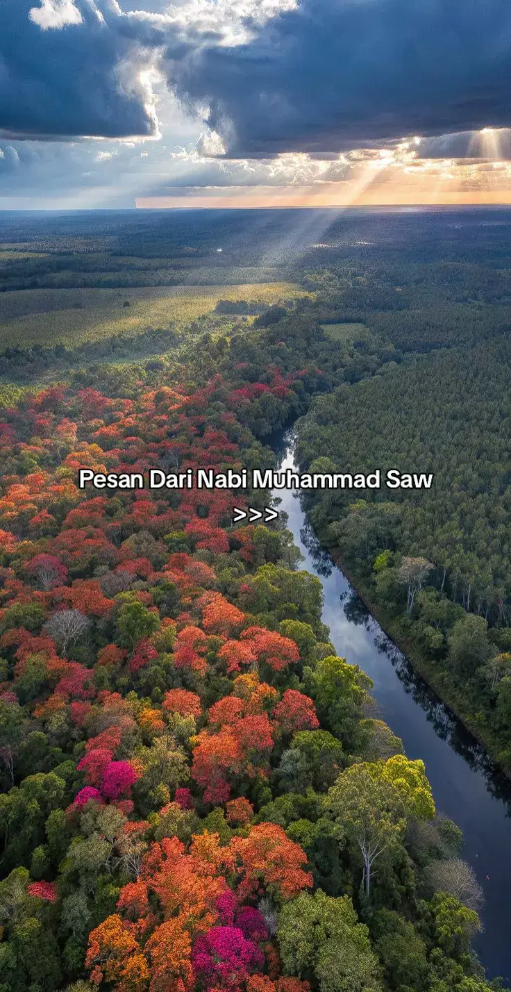 #islamic_video #masukberandafyp #fypage #dakwah_islam #muslimcerdas #ilmubermanfaat #nabimuhammadsaw #islamdaily #rasulullah #rasulullahteladanku #remajahijrah #pemudahijrah #islamituindah #qoutes #pesan #shabwah