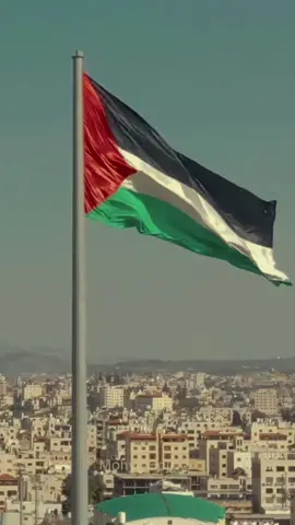 The Side of Palestine that isn’t shown || Pompeii - Bastille #Palestine #fyp #viral #music #trending #tiktok #muslim #arab #fyp 