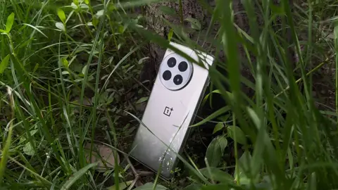 OnePlus ACE 3Pro  #dutrachduong #camera #oneplus 