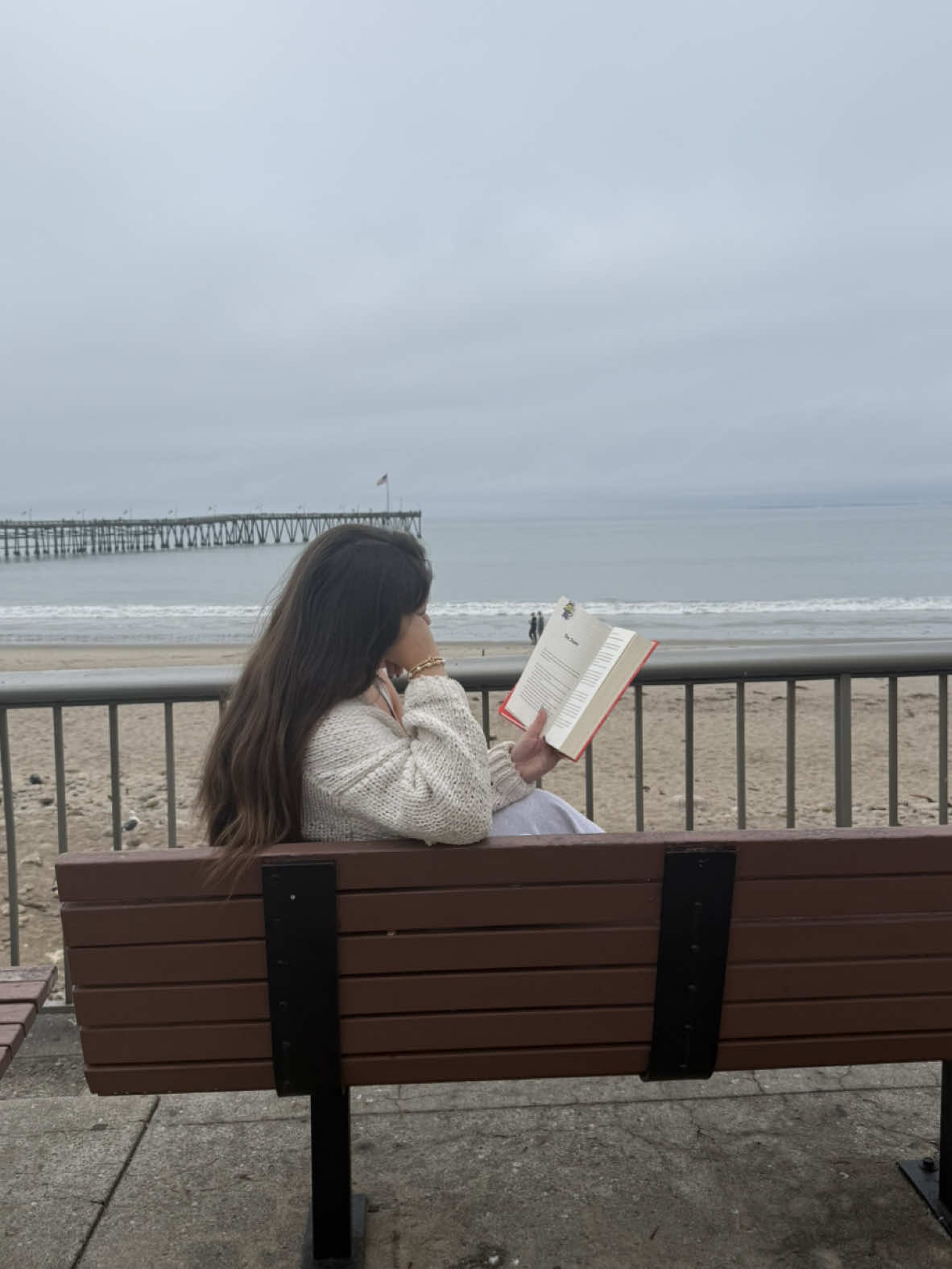 A peaceful day in Ventura full of reading, shopping, and the beach 🐚🌊🤍🦪🐬 #ventura #Vlog #venturacalifornia #brooklyncharm #emilyhenry #theoc #summerroberts #california 