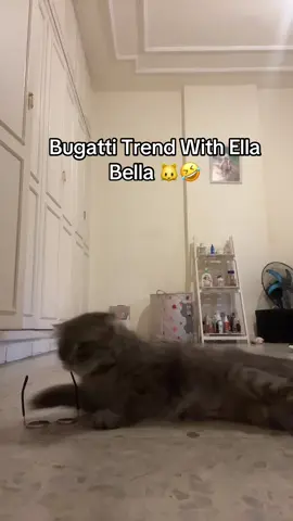 Bugatti trend 🤣