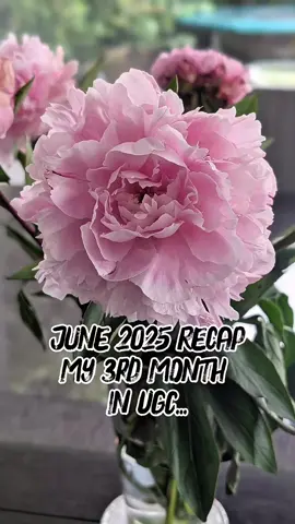 My June 2025 Recap... 3 Months into my UGC Journey 🥂 . . . . . #ugc #ugcbeginner #ugccommunity #contentcreator #ugcportfolio 