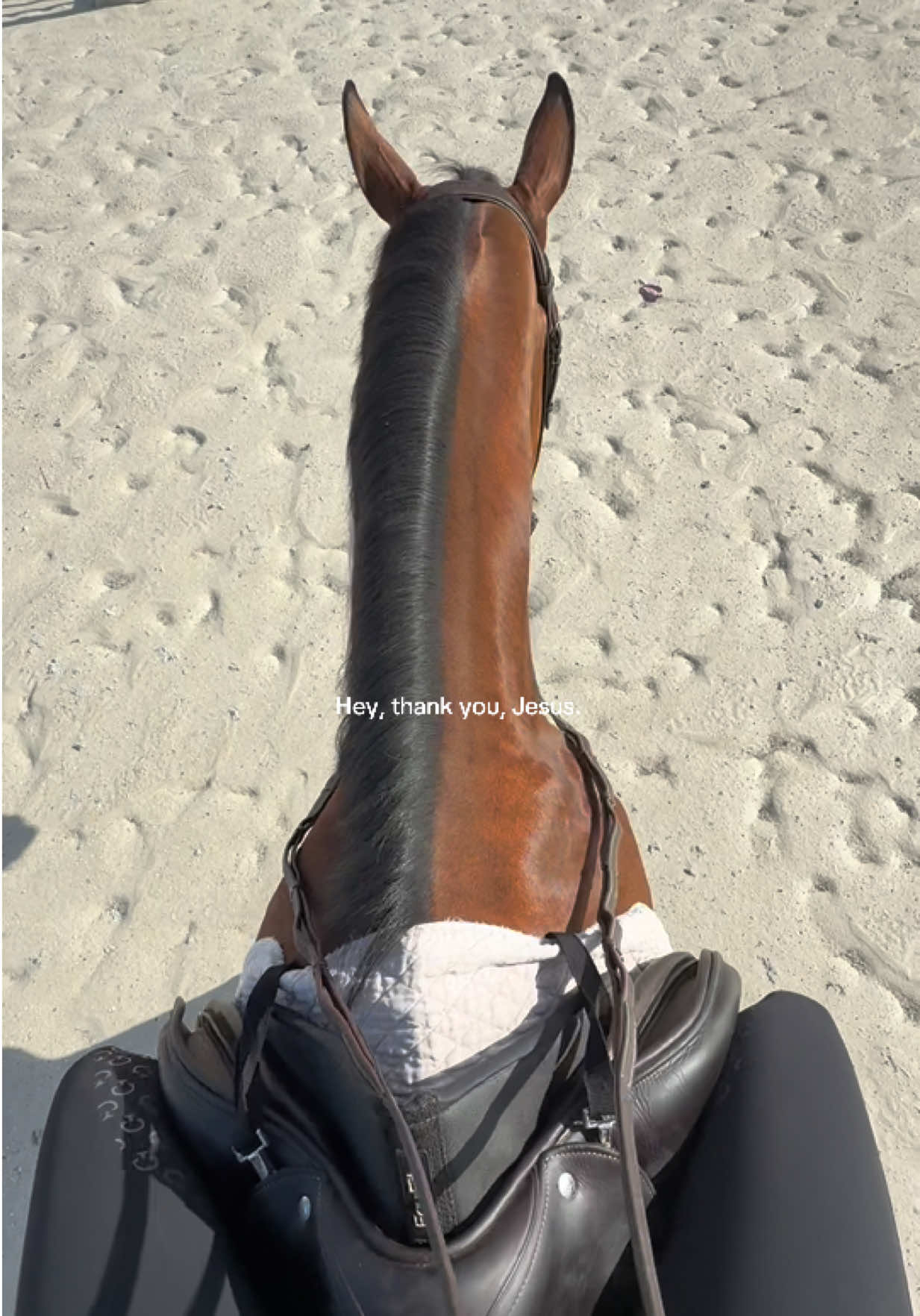 I love my Sundays. 🫶🏼🙏🏼 #equestrian #equestrianlifestyle 