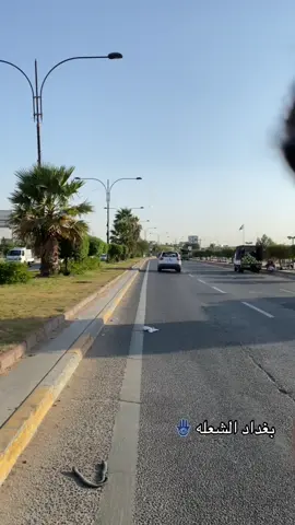 #بغدادالشعله_الصدرين #لايك_متابعه_حركة_الاكسبلور❤🦋explorer #صعدو_الفيديو_حته_استمر #مالي_خلق_احط_هاشتاقات🧢 #fypシ #CapCut #شعب_الصيني_ماله_حل😂😂 #صعدوو_ءڪڪسبلور_للايڪ_متابعه #محرم_1443_ويبقى_الحسين 