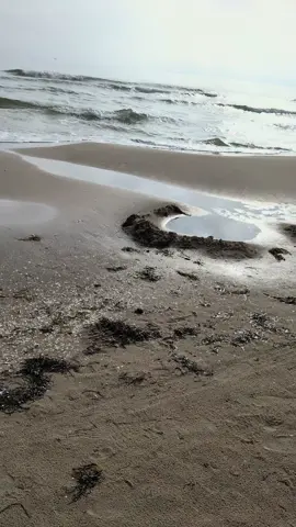 #viral #2025 #urlaub #ostsee #usedom #ahlbeck #viralvideos 