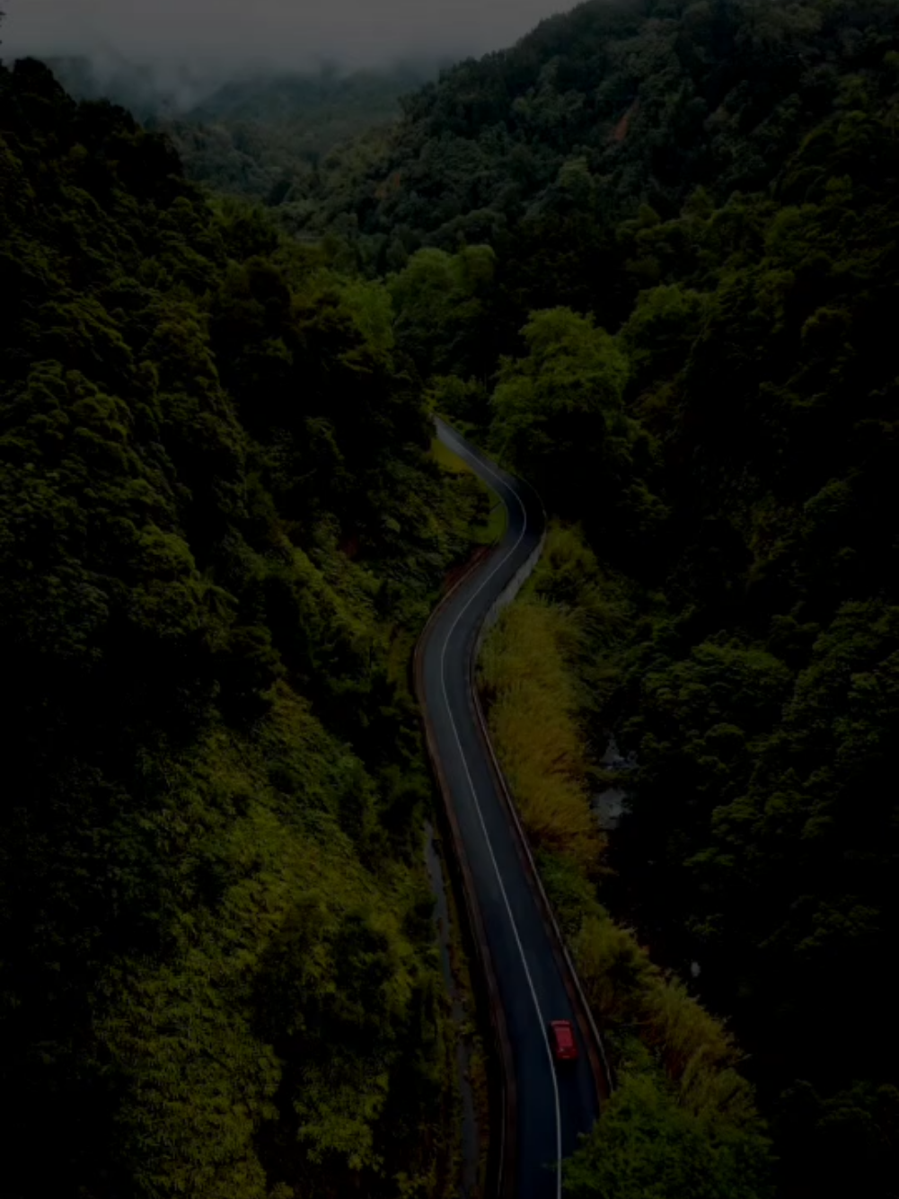 سوڕەتی (یوسف) - القارئ : رزكار الكردي