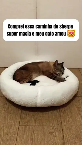 #gatos #petshop #caminha 