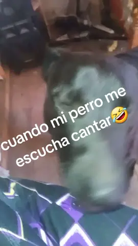 pobre roco🤣🥰