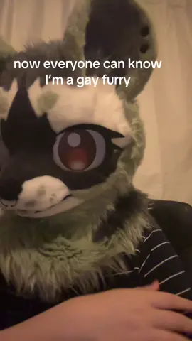 #csh #csh #cshr #carseatheadrest #willtoledo #1traitdanger #furry #fyp 