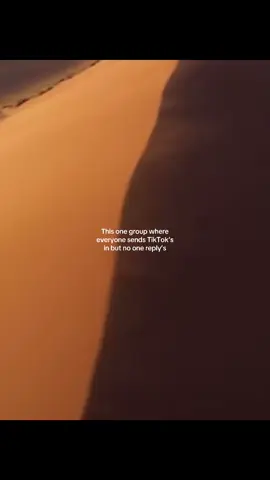 #friendgroup #tiktok #desert #meme #jk 