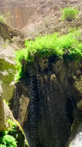 #fyp #foryou #سرپل #جوزجان_اوزبیک_فرزندی_من🙋 