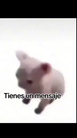 Tienes un mensaje tun tun