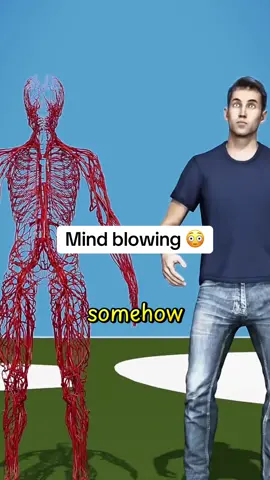 Mind blowing #facts #funfacts #zackdfilms #mindblown #Science #fyp #viral #trend 