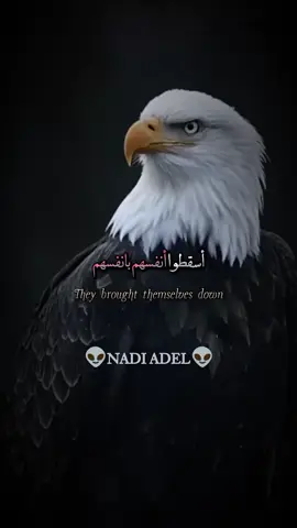 أسقطوا أنفسهم بانفسهم فما ذنبي عندما أصبحت لا أراهم شيئا#اقتباسات #ستوريات #اقوال #حكم #خواطر 