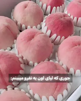 😚تروخدا بزار گاز بگیرم . . . . . . #fypp #fy #foryou #fypシ #fyp #فوریو_ایرانی 