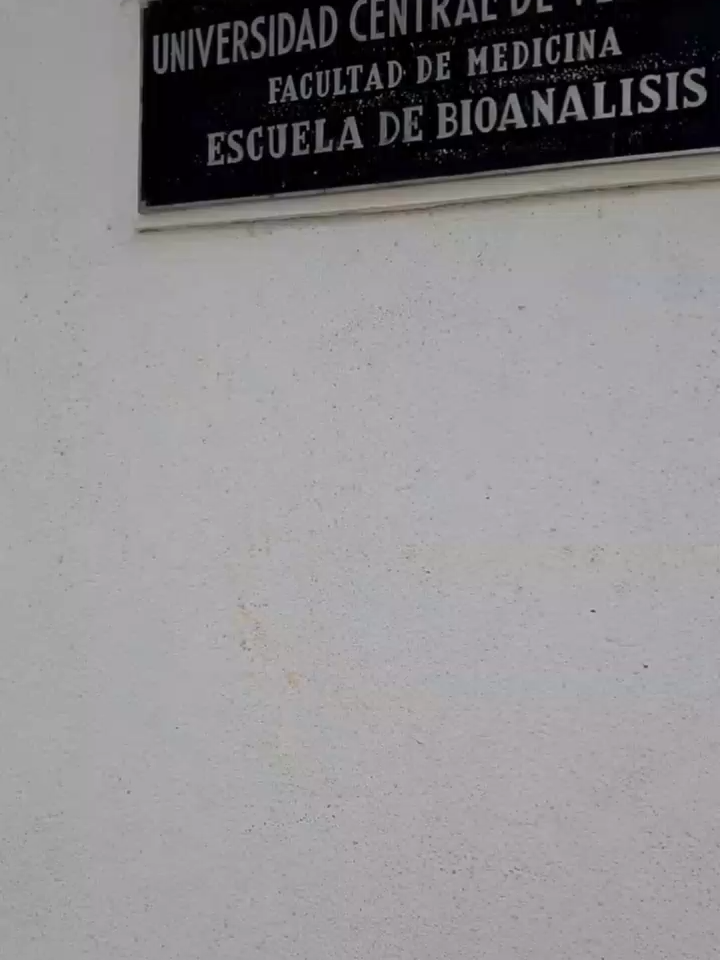 Cuando digo que estudio Bioanálisis, muchas personas creen que solo se trata de revisar sangre, orina y heces. Pero la verdad es que esta carrera es muchísimo más que eso. Para convertirnos en bioanalistas, necesitamos una base sólida en ciencias básicas: Química, Física, Matemática y Biología. Son estas materias las que nos permiten comprender el cuerpo humano a nivel molecular y celular. Sin ellas, sería imposible interpretar con precisión los procesos que se esconden detrás de un simple resultado de laboratorio. A medida que avanzamos en la carrera, nos adentramos en áreas como Bioquímica, Fisiología, Microbiología, Hematología, Inmunología, Parasitología y Micología. Cada una nos da herramientas para diagnosticar enfermedades, controlar brotes, hacer seguimiento a tratamientos y aportar información vital para la toma de decisiones clínicas. También desarrollamos habilidades en Bioestadística y Metodología de la Investigación, fundamentales para validar resultados y mantener altos estándares de calidad en el laboratorio. No se trata solo de aplicar técnicas, sino de hacerlo con ética, precisión y compromiso. Ejercer esta profesión implica responsabilidad, pensamiento crítico, trabajo en equipo y vocación. No basta con saber hacer, hay que saber por qué se hace y cómo comunicarlo de forma efectiva al resto del equipo de salud. Como estudiante de cuarto semestre, he aprendido que cada práctica, cada clase y cada noche de estudio son pasos hacia una meta más grande: ser parte del equipo que salva vidas desde el laboratorio. Bioanálisis es ciencia, vocación y compromiso. Y yo quiero ser parte de esta historia. Realizado por Wilmary Calderas #BioanalisisUCV #DivulgacionBioanalisis #CienciasBasicas #EstudiantesDeSalud #UCV #LaboratorioClinico #CienciaQueSalvaVidas Reyes, E. (2025). Colaboración en contenidos educativos de Inmunología y Micología[Videos]. Prácticas de laboratorio Sexto Semestre, UCV.