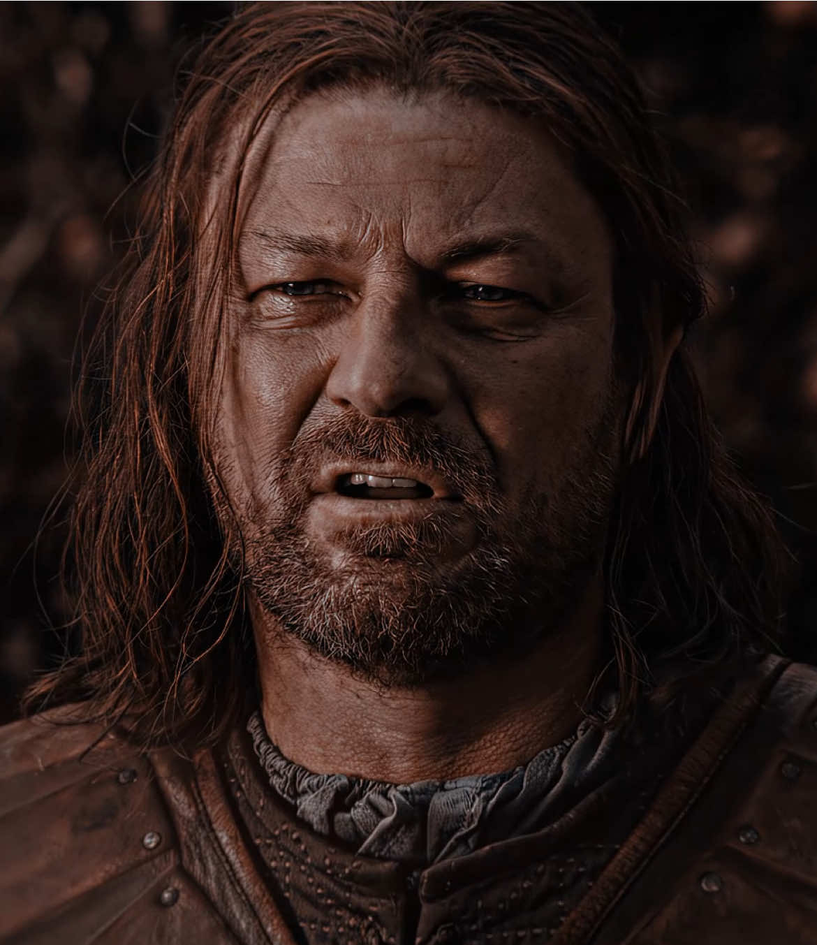 The man who was killed because of his high honor and integrity , The honorable Ned Stark #gameofthrones #nedstark #fyp #foryoupage #viral #viralvideo 