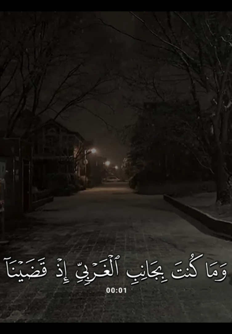 سورة #القصص | #محمد_بوحسون 