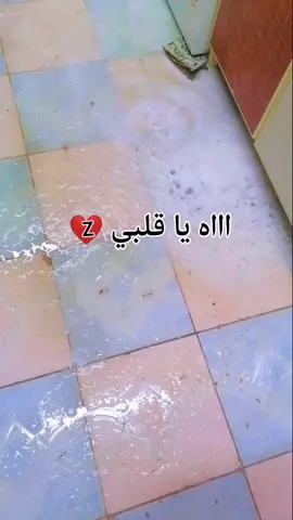 #  الاحساء #اكسبلور