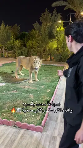 شجاعة محمد باسم : #حمودي_حول_العالم #الكوكل_البشري #محمد_باسم 