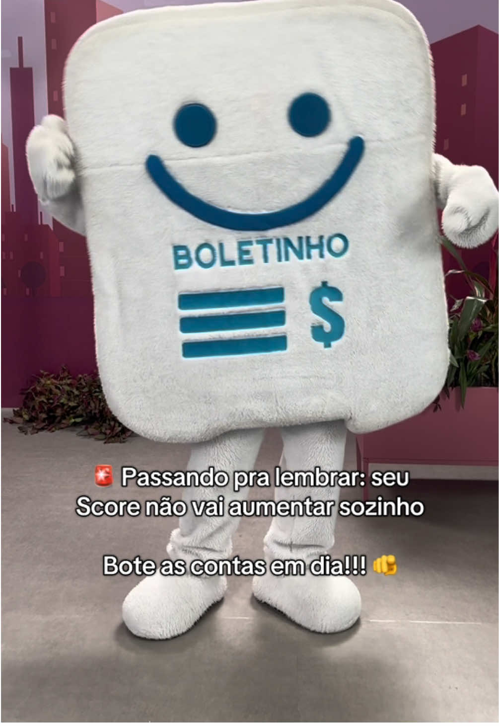 Pontuação de verdade: não precisa falar inglês ela pra subir 🫣 #humor #serasa #score #serasascore 