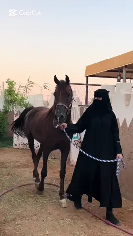 ودههه🌚#عمت_عين_ماتذكرالله #خيل_عربي_اصيل #عنيزه_القصيم #خيل_وخياله🐎 #مربط_عالية_النواصي 