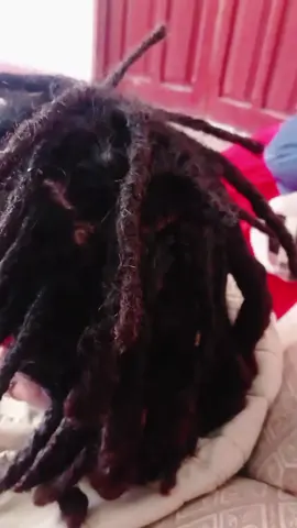 dreads cusco ajustes de dreads y definición. #cusco #dreadstyles 