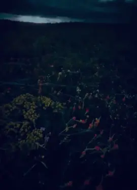 Good Night 🫂#fypシ #1millionaudition #100k #fypageofficiall❤️❤️ #crew07 #standwithkashmir #dikhanking👑 #bollywoodsong #fyp #viralvideo #trending #fypage #song #songlyrics #viralvideo🔥 #hazeeleyes5 