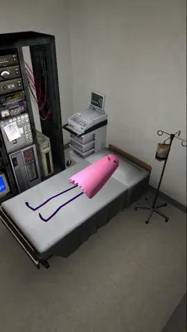 sillybird where are you ❔  sweetibird knows he will come 🙏  🐣 🩷