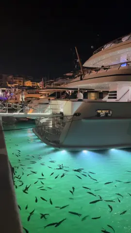 ViBEs Puerto Banus ✨ #porschenilgt #puertobanus #vibesmarbella 