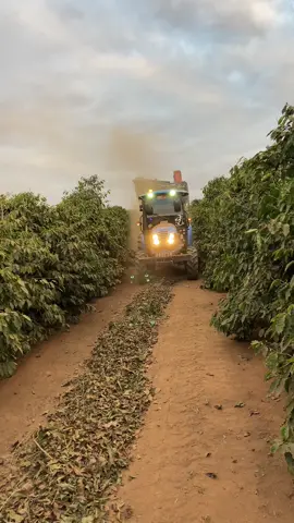 😍😍 #👩🏻‍🌾 #agrogirl #floresemvida #tratorista #ls #fyp #fypシ゚viral 