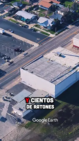 Qué harías si descubrieras un laboratorio ilegal en tu vecindario #laboratoriocl clandestino #misterioenCalifornia #riesgobiológico #fyp #viral 