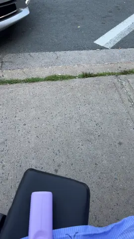 Went outside for a few minutes. Social anxiety fears these birds #fyp #foryou #foryoupage