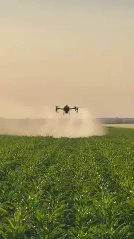 Artificial intelligence drone farming agricultural technology.