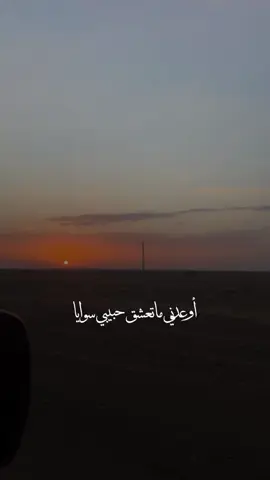 وأحيا بوصلك يا #غرام_المحبين ✨ #اليازية #اليازية_محمد_غرام_المحبين #اليازية_محمد 