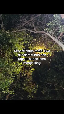 #vibesstory #berandatiktok #masukberandamuu #storytimes #xybca #xybcafyp #sadvibes #galaubrutal🥀 #galaubrutal #sadstory #tired #tiredlife #brokenheart #fypage #foryoupage #4u 