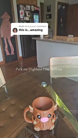 Replying to @h_a_x_e link above #freeshipping #tiktokshop #dealsforyoudays #icecreamholder #icecream #icecreamlover #tiktokmademebuyit 