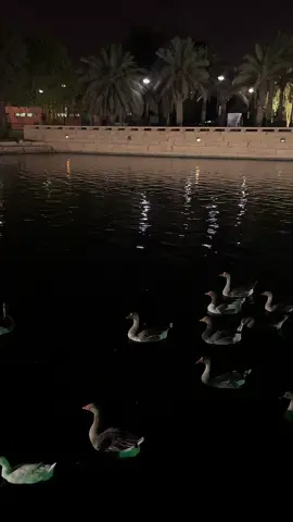 #الرياض #منتزة_السلام #حديقة_السلام_الرياض #اكسبلور 