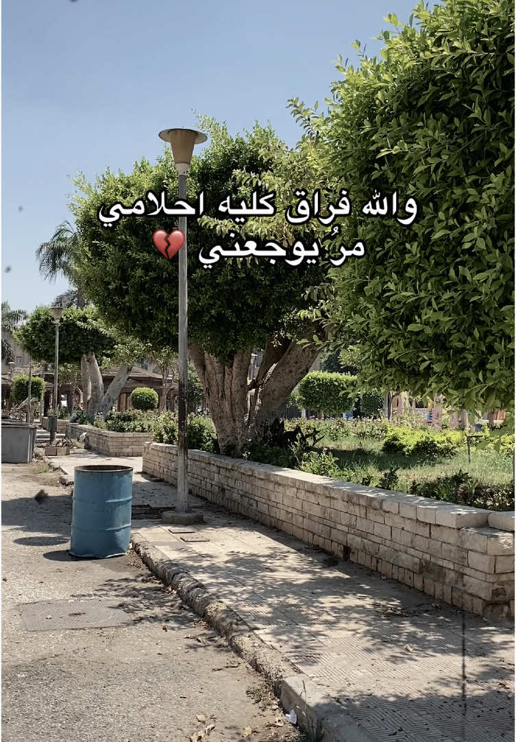 بجد يجدعان لازم نتعب عشان ندخلها الجامعه جميله بجد😭💔#معادله كليه تجاره#جامعه القاهره #ثانوي تجاري#الدبلومات الفنيه#طلاب المعادله #foryou #fypシ゚ #viral #fyp #foryoupage #explore #اكسبلور #tranding #tik_tok #fayyyyyyyyyyyyyyyyyyyyyyyyyyyyyyyy 