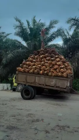 laki-laki dengan pekerjaannya 🤘#fypシ #fypage 