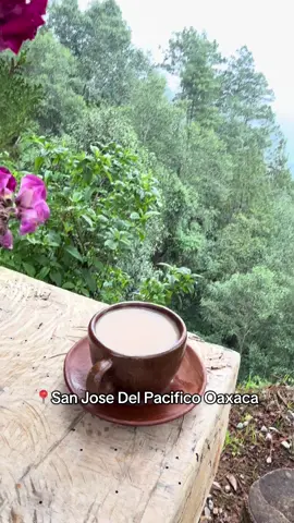 Uno de los lugares más relajante en México  🇲🇽   #sanjosedelpacifico #sanjosedelpacificooaxaca #mexico #oaxaca #oaxacamexico #travelvlog #Vlog #travelvlog #travelvlogger 