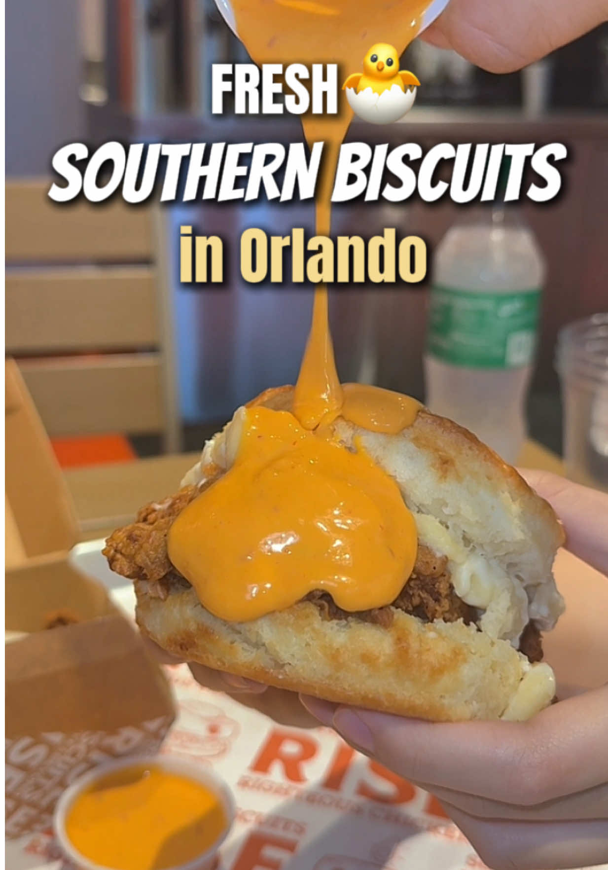Southern Biscuit Brunch in Orlando 🍗🧈🍩 Rise Southern Biscuits is bringing the Southern comfort for real —with fluffy, golden biscuits and bold, buttery flavors stacked high. From sweet blueberry bites to savory sausage melts, everything we tried was phenomenal!! What to get? 🧀 Mac & Cheese Biscuit — rich, cheesy, and ridiculously indulgent. 🍗 Chicken & Gravy — tender fried chicken smothered in creamy gravy, total soul food. 🫐 Blueberry Biscuit & Sausage — sweet meets savory in this unexpectedly perfect duo. 🍩 Beignets — pillowy, sugar-dusted, and melt-in-your-mouth good. Perfect for a weekend reset, biscuit lovers’ brunch, or treating yourself just because. 📍Rise Southern Biscuits – 355 N Rosalind Ave Suite 2-3, Orlando, FL 32801 (Another location in Winter Park!) ✨ Follow @binminmunch for more drool-worthy comfort food spots in Orlando! #RiseBiscuits #OrlandoBrunch #DowntownOrlandoEats #SouthernComfortFood #BiscuitLovers #BinminMunchApproved #OrlandoBreakfastSpots #orlandobiscuits #orlandofoodie 