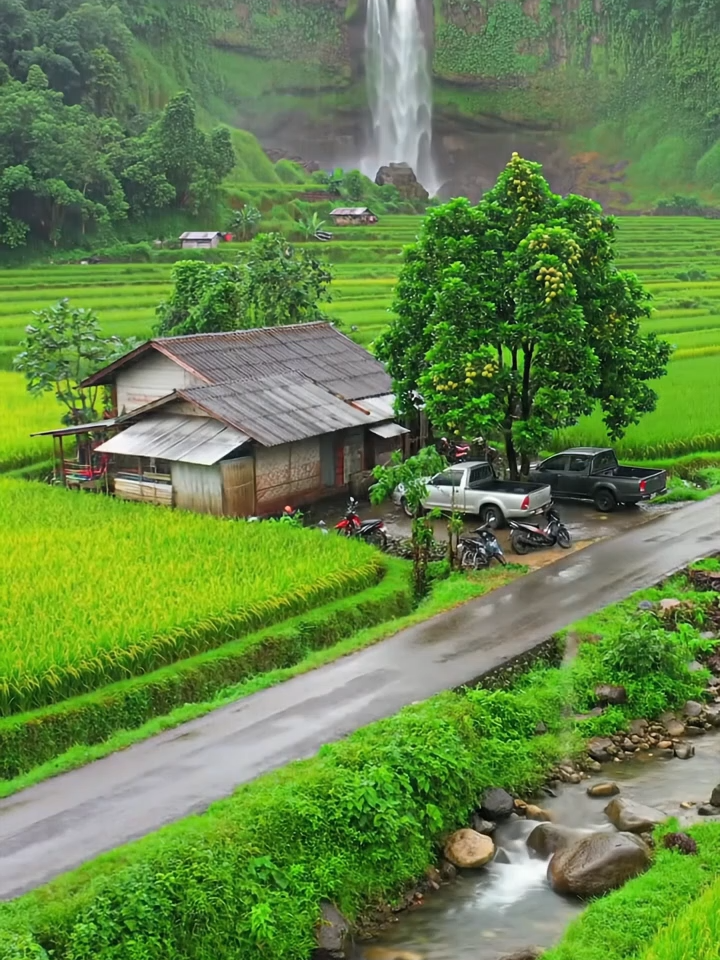 Suasana dipedesaan saat hujan #hujan #sawah #petir #pemandangan #fyppp #viralvideos #pedesaan
