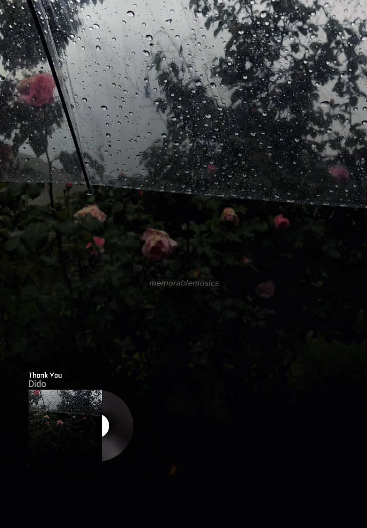 Thank You #dido #thankyou #tradução #letrasdemusicas #lovesong #tipografia #lyrics_songs 