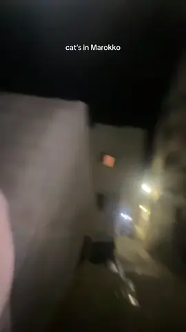 #fyp #fypシ゚viral #foryoupage #fyyyyyyyyyyyyyyyy #viralvideos #goviral #maghreb_united🇩🇿🇲🇦🇹🇳 #maghreb #tt #🇲🇦 #🇲🇦🇩🇿🇹🇳 #viral #tetouan 