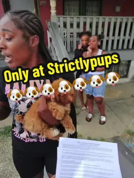 Off to her Loving home. 🙂❤️ #fyp #fypシ゚viral #foryoupage #puppy #philly #viral #pets 