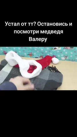 Я его в детстве смотрела 💗🥰 #медведьвалера #ностальгия 